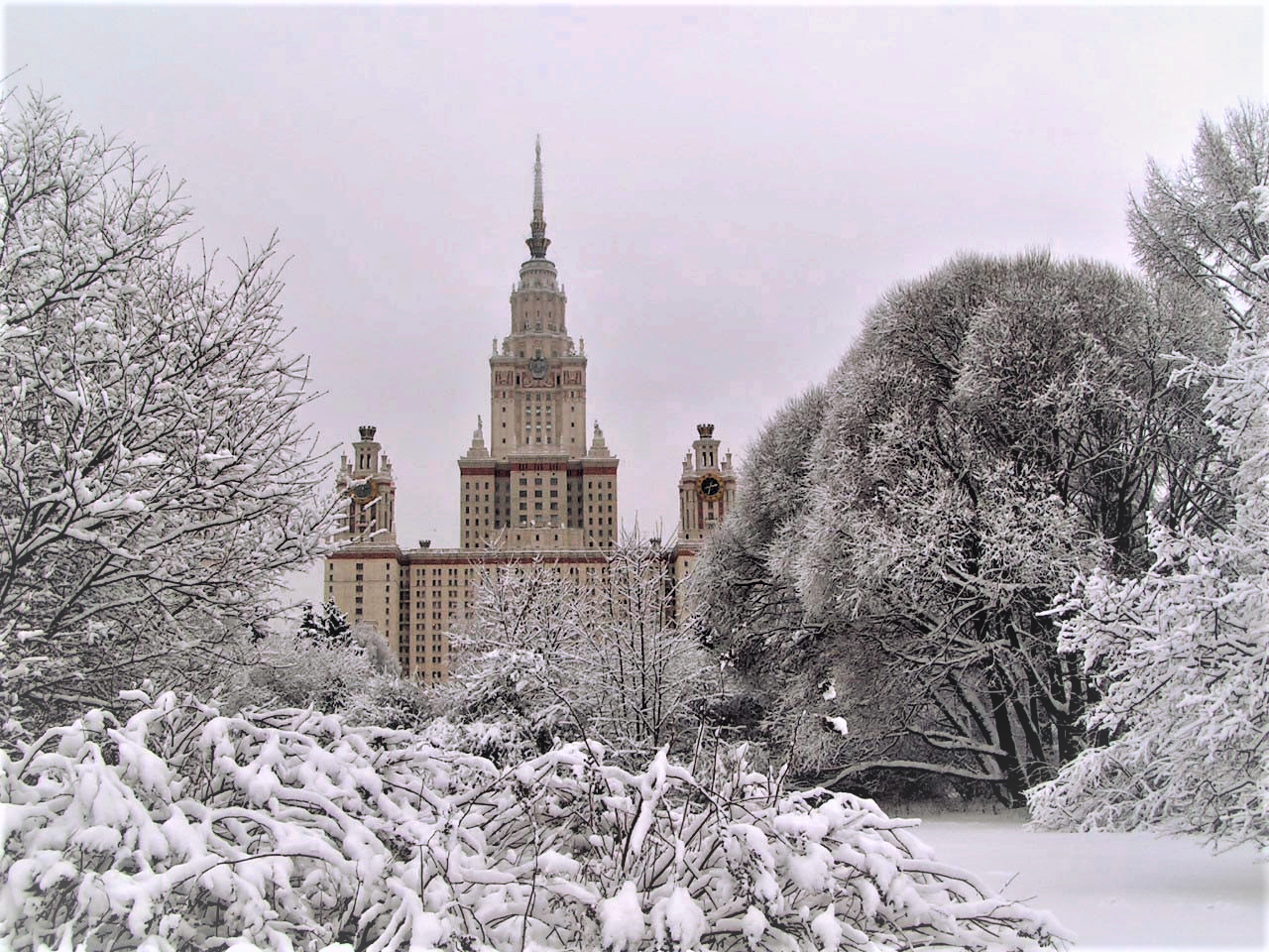 Совместная программа "Школы права "СТАТУТ" и Юридического факультета МГУ